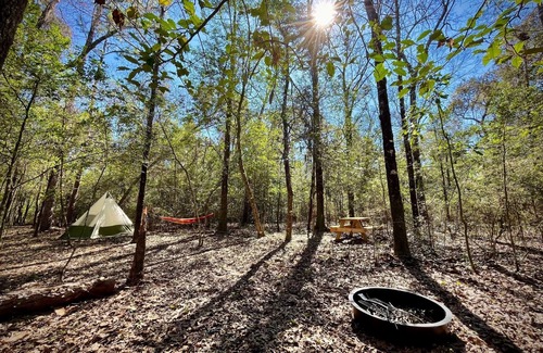 Cantonment RV Rental | Christian Retreat Campsite #5 - Hidden Holly