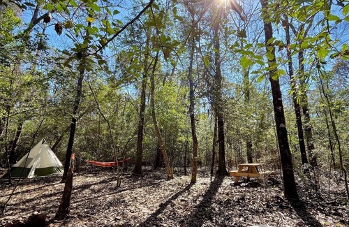 Cantonment RV Rental | Christian Retreat Campsite #5 - Hidden Holly