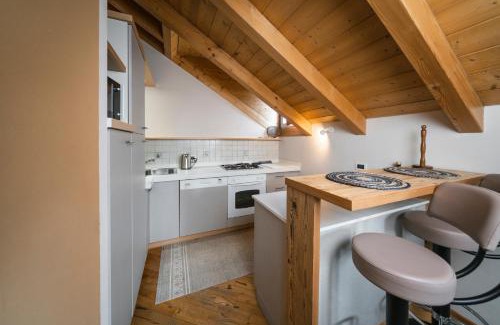 Moena Apartment | Ciasa Gianot - Shin