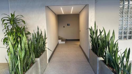 Saguacu Apartment | Cidade das bicicletas