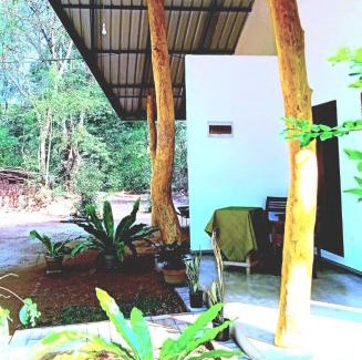 Habarana Hotel | Cinnamon Eye