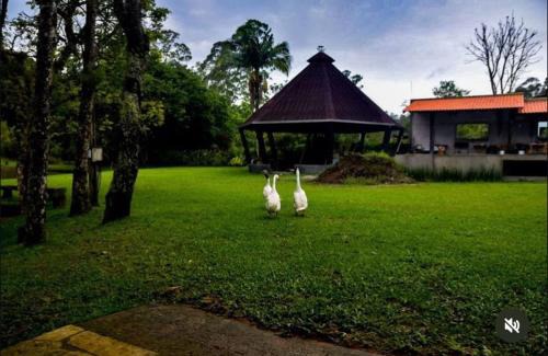 Biritiba-Mirim House | Cio da Terra