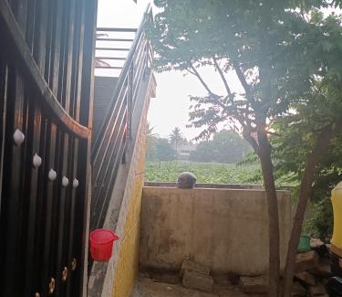 Ramamurthy Nagar House | Citrus Home