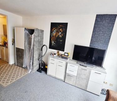 Kaiserslautern Apartment | City Apartment