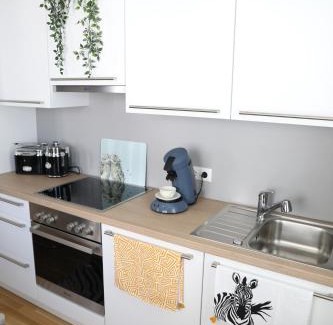 Gmunden Apartment | City-Apartment Die kleine Mü