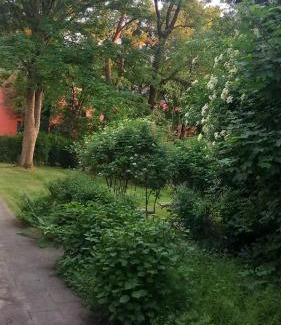 Duissern Apartment | City Apartment Duisburg 1#Netflix &Wlan &Kingsize Bett &Kaffee Maschine & Zentral & 500m Innenhafen & 2 min U Bahn