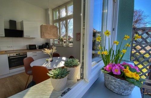 Magdeburg Apartment | City-Apartment für Genießer mit schöner Terrasse
