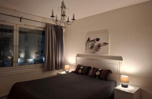 Kuopio Apartment | City Apartment Snellmaninkatu 22 A, yksityinen pistokkeellinen paikoitus sisältyy hintaan