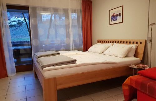 Unterwiehre-Sud Apartment | City Appartement 5