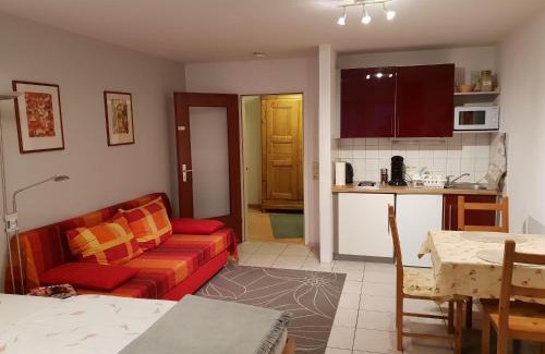Unterwiehre-Sud Apartment | City Appartement 5