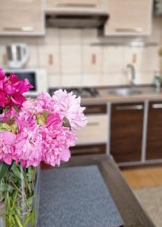 Ternopil Apartment | City Center Apartament