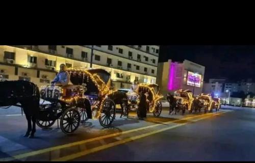 Aswan Apartment | City center NewAswan Aswan 2