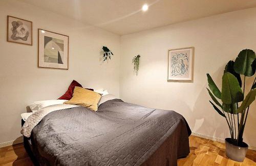 Engen Apartment | City center retreat with king bed