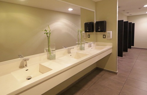 Lomas de Santa Fe Hotel | City Express Suites by Marriott Ciudad de México Santa Fe