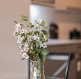 Nunoa Apartment | City Haven Studio Apartment for Two in Nunoa