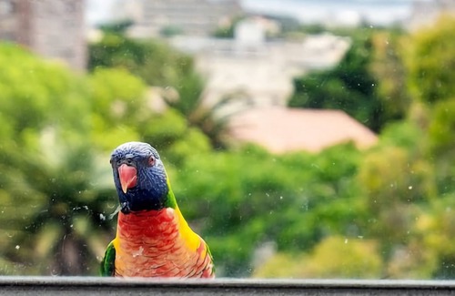 Kings Cross Apartment | City Stay with Stunning Views Free Parking