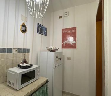 Scarlino Apartment | Civico 4 Scarlino Tuscany