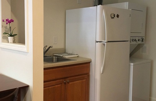 Marshall Apartment | Classy-artsy glass artist studio apartment