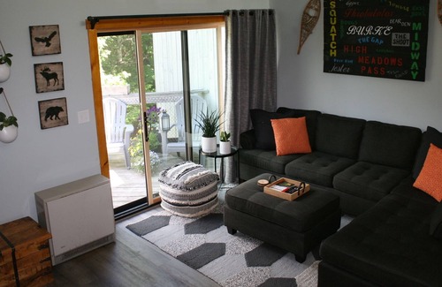 East Burke Condo | Clean and Comfortable Burke Mountain Condo. Ski / Bike / Hike
