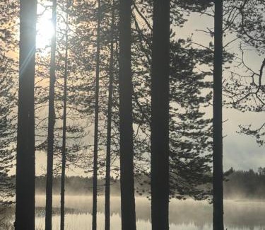 Posio Apartment | Cleanest air Kuorikki-Wilderness