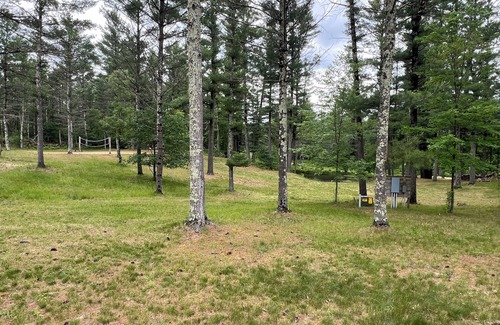 Black River Falls Cabin | Clear Creek Cabin- 10 acres of privacy, Pond, Creek, Pet Friendly