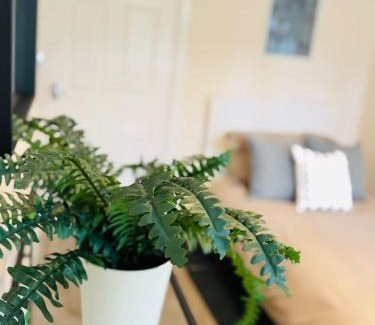 Newport Apartment | Clevedon House