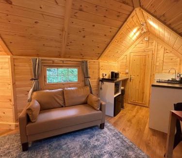 Bontddu Apartment | Clogau Tree House Hot tub &sauna