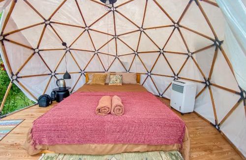 Kedisan Other | Cloud Hills Glamping