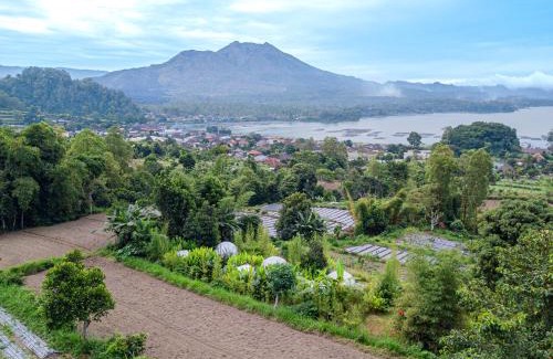 Kedisan Other | Cloud Hills Glamping