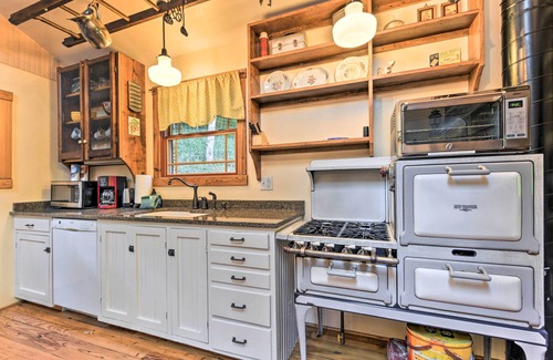 Clyde Apartment | Clyde ‘Papa Bear’ Cabin, Near Smoky Mountains!
