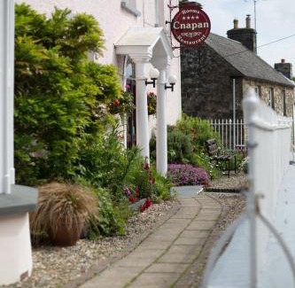 Newport House | Cnapan Guest House