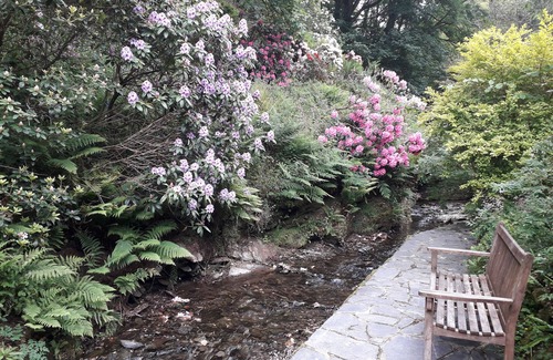 Tintagel Cottage | Coachman's