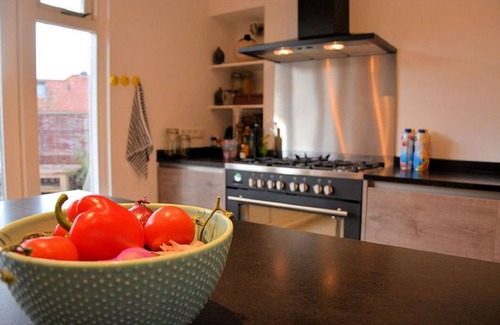 Vogelwijk Apartment | Coastal Apartment Near Dunes