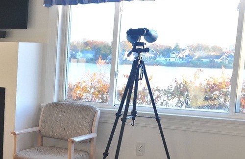 Falmouth Heights Cottage | Coastal cottage offers beautiful water views, and steps to sandy beaches