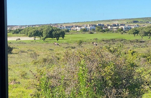 Langebaan Villa | Coastal & Country Living in Langebaan