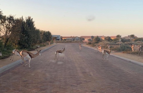 Langebaan Villa | Coastal & Country Living in Langebaan