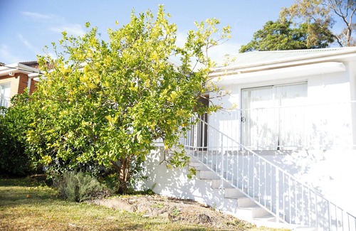 Woolooware House | Coastal family living, just 1km to Cronulla Beach! The Lemon Tree house.