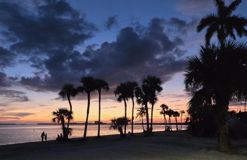 Caloosahatchee House | Coastal Palm Retreat