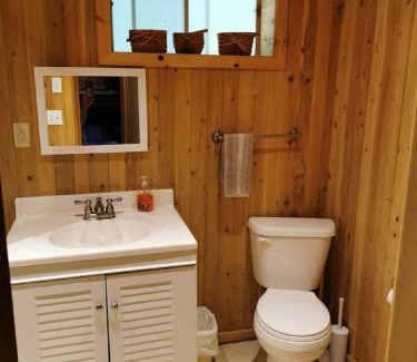 Northern Bruce Peninsula Ski Chalet | Cobblestone Waterfront cottage 4 Bedrooms, 2 Bathrooms, Sauna at Lion Head
