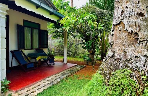 Hikkaduwa House | Coco Cabana Hikkaduwa