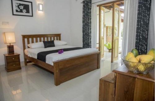 Seeduwa - Katunayake Villa | Coco Villa Peach Tree