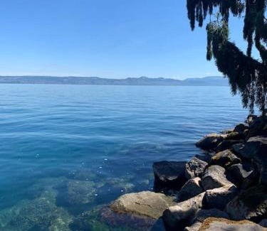 Thollon-les-Memises Apartment | Cocon Savoyard à Thollon les Mémises