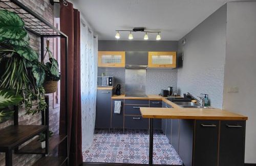 Blagnac Apartment | Cocoon'Inn Blagnac