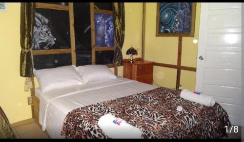 Santa Elena House | cocopeleinn2
