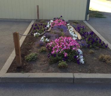 Coeur d'Alene Hotel | Coeur D' Alene Budget Saver Motel