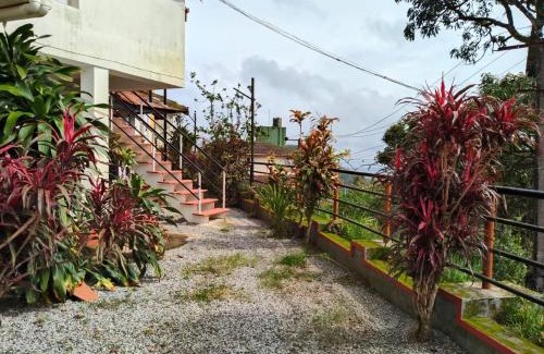 Stuart Hill House | Coffee cottage guest house