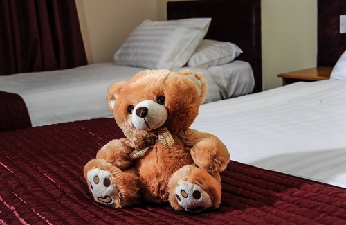 Dungannon Hotel | Cohannon Inn