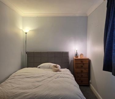 Colchester House | Colchester chill x1