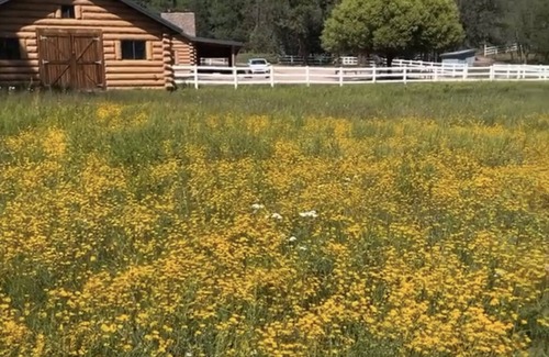 Payson Cabin | Colcord Cabin on 3 acres