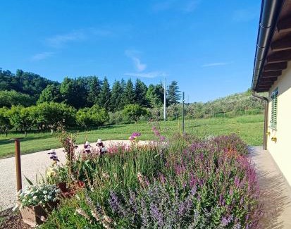 Quartiere Fiorenzuola House | Colle Gelso